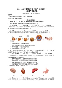 安徽省安庆市潜山市部分学校2021-2022学年七年级下学期期中联考生物试题（有答案）