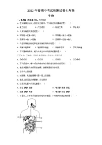 湖北省天门市某校2021-2022学年七年级下学期期中生物试题（含答案）