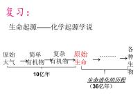 初中生物人教版 (新课标)八年级下册第七单元 生物圈中生命的延续和发展第三章 生命起源和生物进化第二节 生物进化的历程备课课件ppt