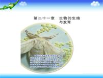 初中生物苏教版八年级下册第一节 生物的无性生殖课堂教学ppt课件