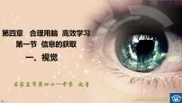 苏科版2 人体对信息的感知教课课件ppt