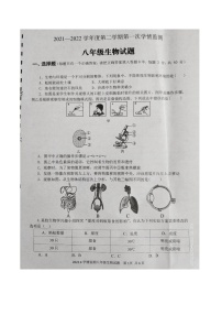 山东省济宁市金乡县2021-2022学年下学期八年级期中考试生物试题(含答案)