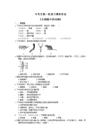 中考生物一轮复习课时作业《生物圈中的动物》（含答案）