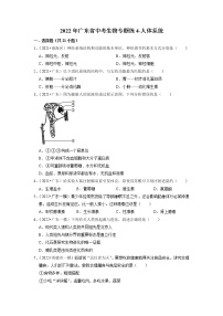 2022年广东省中考生物二轮专题练4-人体系统