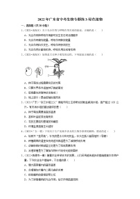 2022年广东省中考生物二轮专题练3-绿色植物