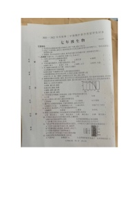 2022年七年级下册生物期中试卷