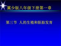 初中生物冀教版八年级下册第三节  人的生殖和胚胎发育评课课件ppt