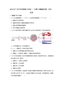 2022年广东省中考生物复习专练——专题2细胞的分裂、生长、发育+解析版