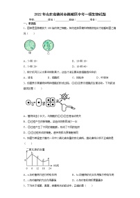 2022年山东省德州市德城区中考一模生物试题(word版含答案)