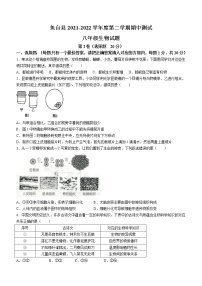 山东省济宁市鱼台县2021-2022学年八年级下学期期中生物试题(word版含答案)