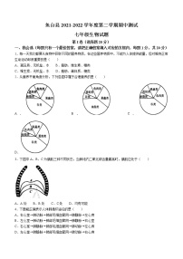 山东省济宁市鱼台县2021-2022学年七年级下学期期中生物试题(word版含答案)