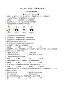 山东省聊城市东阿县2021-2022学年七年级下学期期中生物试题(word版含答案)