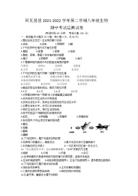 新疆阿克苏地区阿瓦提县2021-2022学年八年级下学期期中考试生物试卷(word版含答案)