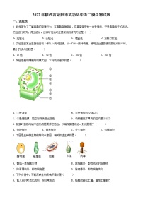 2022年陕西省咸阳市武功县中考二模生物试题