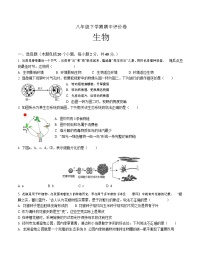 河南省郑州市二七区2021-2022学年八年级下学期期中生物试卷（无答案）