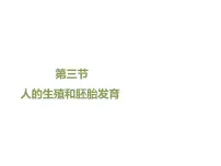 初中生物冀教版八年级下册第三节 人的生殖和胚胎发育课文配套课件ppt