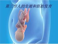冀教版八年级下册第三节  人的生殖和胚胎发育教课课件ppt