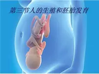 冀教版八年级下册第三节 人的生殖和胚胎发育教课课件ppt