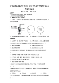 广东省德庆县德庆中学2021-2022学年七年级下学期期中考试生物试题（含答案）