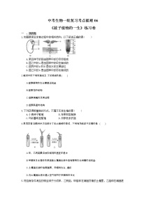 中考生物一轮复习考点梳理06《被子植物的一生》练习卷（含答案）