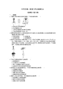 中考生物一轮复习考点梳理21《病毒》练习卷（含答案）