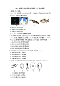 2022年四川省中考生物二轮专题练7-生物多样性、生物的进化