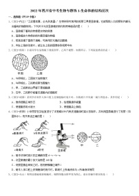 2022年四川省中考生物二轮专题练1-生命体的结构层次