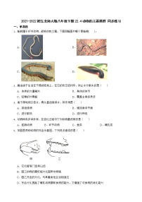 初中生物北师大版八年级下册第七单元 生命的演化第22章  物种的多样性第4节  动物的主要类群优秀课时作业