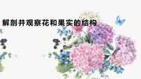 沪教版八年级下册 生命科学第一节 植物课文配套ppt课件