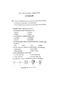 广东省茂名市电白区2021-2022学年七年级下学期期中考试生物试题（含答案）