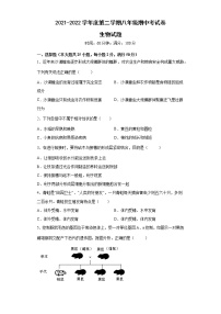 安徽省滁州市定远县民族中学2021-2022学年八年级下学期期中考试生物试题（含答案）