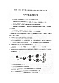 山东省聊城市阳谷县2021-2022学年七年级下学期期中考试生物试题（含答案）