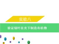 实验八验证绿叶在光下制造有机物--2022年中考生物实验手册总复习课件PPT