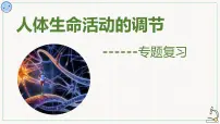 2022年中考生物专题复习:人体生命活动的调节课件