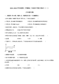 2022年广东省东莞市东城实验中学中考一模生物试题（有答案）