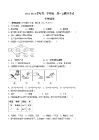 2022年广东省东莞市六校八年级二模生物试题（有答案）