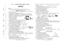 2022年河南省伊川县八年级中考第一次大练习生物试题（有答案）