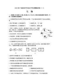 2022年广东省东莞市初中学业水平考试生物模拟测试卷(一)（无答案）