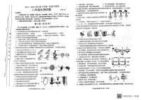 山东省临沂市临沭县2021-2022学年八年级下学期一轮复习验收生物试题（无答案）