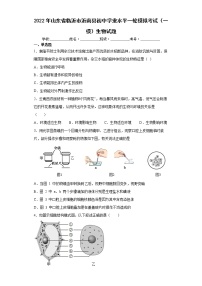 2022年山东省临沂市沂南县初中学业水平一轮模拟考试（一模）生物试题(word版含答案)