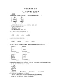 中考生物总复习11《人体的呼吸》模拟实训（含答案）