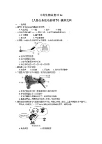 中考生物总复习14《人体生命活动的调节》模拟实训（含答案）