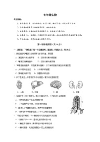 最新人教版七年级生物下册期末测试卷 (1)