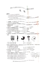 2021年湖南省邵阳市中考真题生物试题（图片版，无答案）