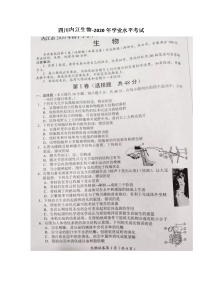 四川省内江市2020年初中毕业学业考试生物卷（图片版无答案）