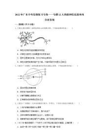 2022年广东省中考生物复习专练——专题12人体的神经系统和内分泌系统+解析版