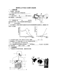 2022年中考复习：识图专项训练