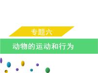 专题六　动物的运动和行为-素材（思维导图+考纲解读）-2022年中考生物总复习课件PPT