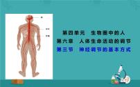 初中生物人教版 (新课标)七年级下册第三节 神经调节的基本方式教学演示课件ppt