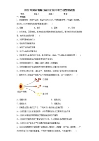 2022年河南省周口市川汇区中考二模生物试题(word版含答案)